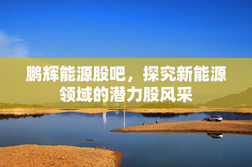 鹏辉能源股吧，探究新能源领域的潜力股风采