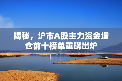 揭秘，沪市A股主力资金增仓前十榜单重磅出炉