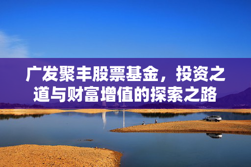 广发聚丰股票基金，投资之道与财富增值的探索之路