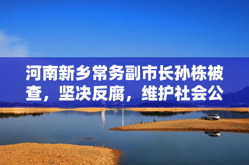 河南新乡常务副市长孙栋被查，坚决反腐，维护社会公正正义之路不停歇