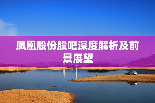 凤凰股份股吧深度解析及前景展望