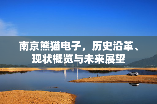 南京熊猫电子，历史沿革、现状概览与未来展望