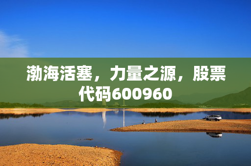 渤海活塞，力量之源，股票代码600960