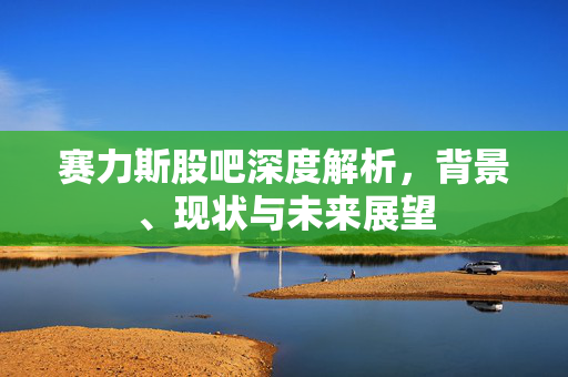 赛力斯股吧深度解析，背景、现状与未来展望