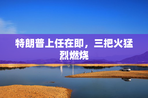 特朗普上任在即，三把火猛烈燃烧