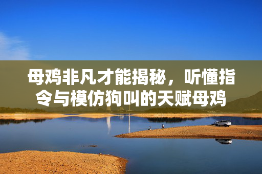 母鸡非凡才能揭秘，听懂指令与模仿狗叫的天赋母鸡