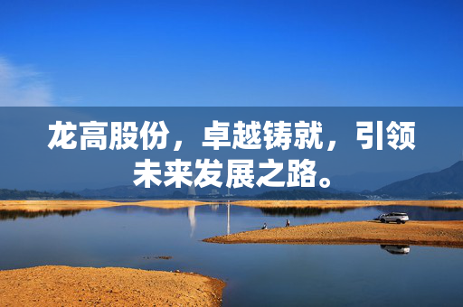 龙高股份，卓越铸就，引领未来发展之路。