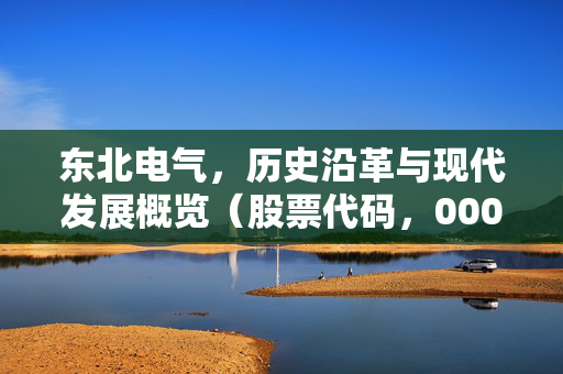 东北电气，历史沿革与现代发展概览（股票代码，000585）