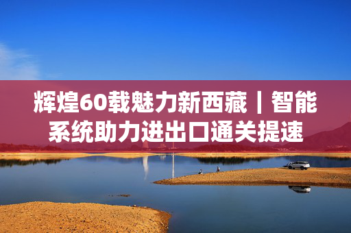 辉煌60载魅力新西藏｜智能系统助力进出口通关提速