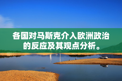 各国对马斯克介入欧洲政治的反应及其观点分析。