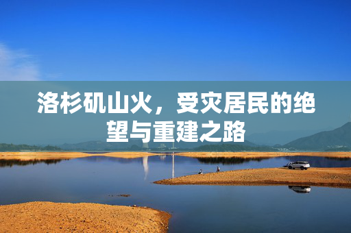 洛杉矶山火，受灾居民的绝望与重建之路
