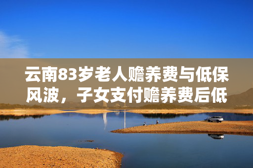 云南83岁老人赡养费与低保风波，子女支付赡养费后低保被取消引争议