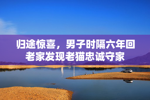 归途惊喜，男子时隔六年回老家发现老猫忠诚守家