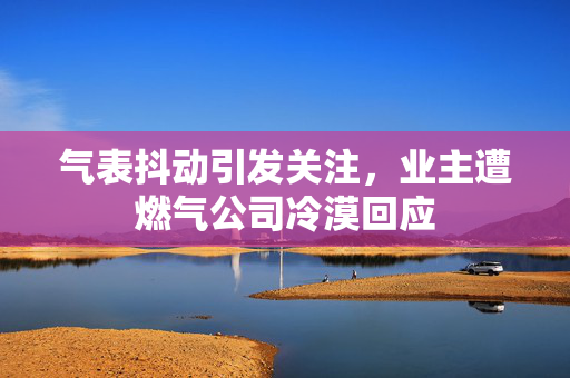 气表抖动引发关注，业主遭燃气公司冷漠回应