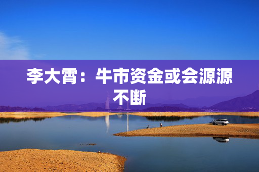 李大霄：牛市资金或会源源不断