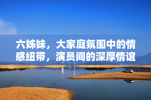 六姊妹，大家庭氛围中的情感纽带，演员间的深厚情谊