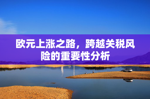 欧元上涨之路，跨越关税风险的重要性分析