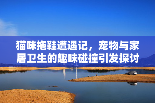 猫咪拖鞋遭遇记，宠物与家居卫生的趣味碰撞引发探讨