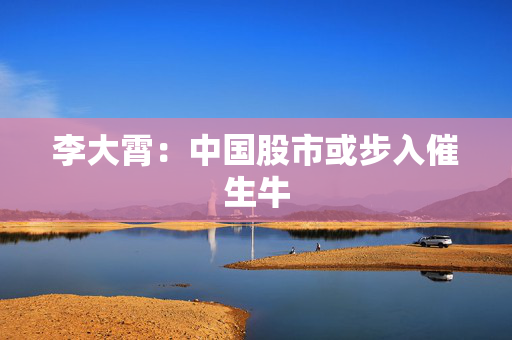 李大霄：中国股市或步入催生牛