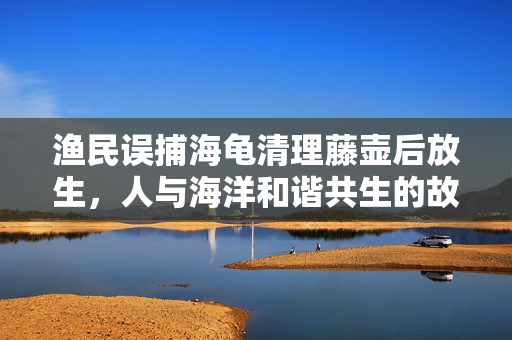 渔民误捕海龟清理藤壶后放生，人与海洋和谐共生的故事