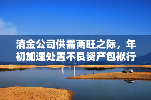 消金公司供需两旺之际，年初加速处置不良资产包袱行动启动！