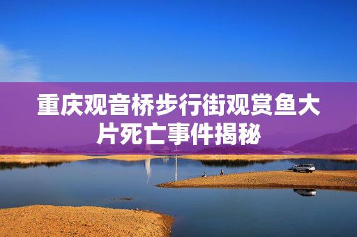 重庆观音桥步行街观赏鱼大片死亡事件揭秘