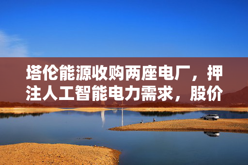 塔伦能源收购两座电厂，押注人工智能电力需求，股价飙升超20%
