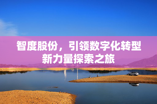 智度股份，引领数字化转型新力量探索之旅