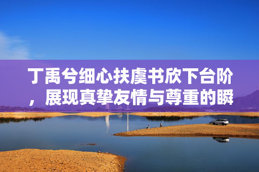 丁禹兮细心扶虞书欣下台阶，展现真挚友情与尊重的瞬间，暖心扶助，情深意切！