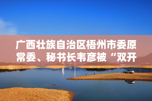 广西壮族自治区梧州市委原常委、秘书长韦彦被“双开”