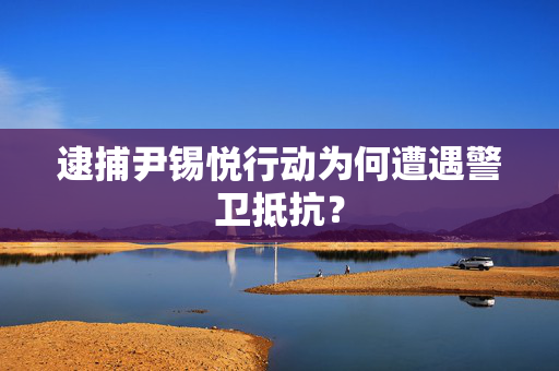 逮捕尹锡悦行动为何遭遇警卫抵抗？