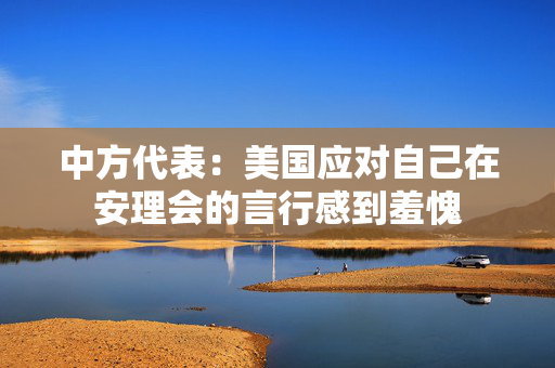 中方代表：美国应对自己在安理会的言行感到羞愧