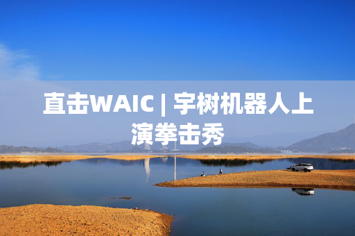 直击WAIC | 宇树机器人上演拳击秀