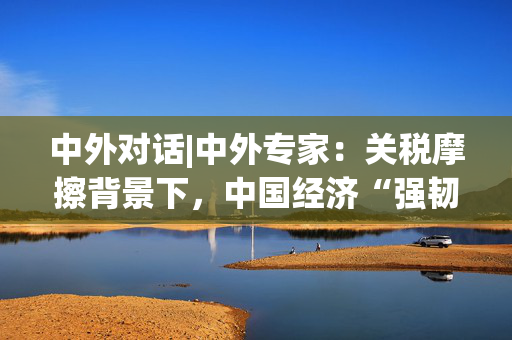 中外对话|中外专家：关税摩擦背景下，中国经济“强韧、超预期”
