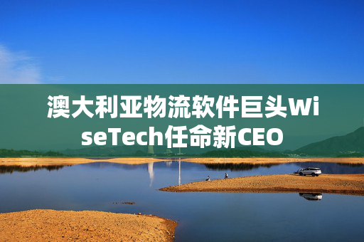 澳大利亚物流软件巨头WiseTech任命新CEO