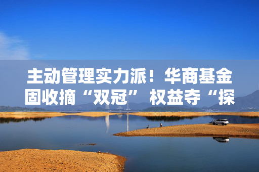 主动管理实力派！华商基金固收摘“双冠” 权益夺“探花”