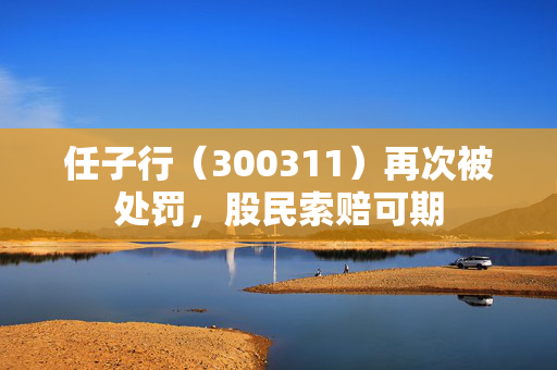 任子行（300311）再次被处罚，股民索赔可期