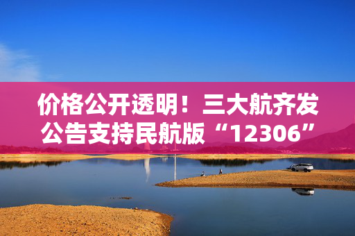 价格公开透明！三大航齐发公告支持民航版“12306”直销机票