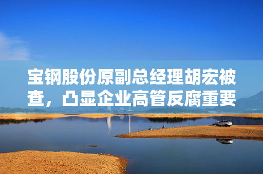 宝钢股份原副总经理胡宏被查，凸显企业高管反腐重要性