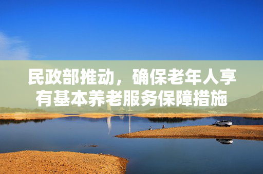 民政部推动，确保老年人享有基本养老服务保障措施