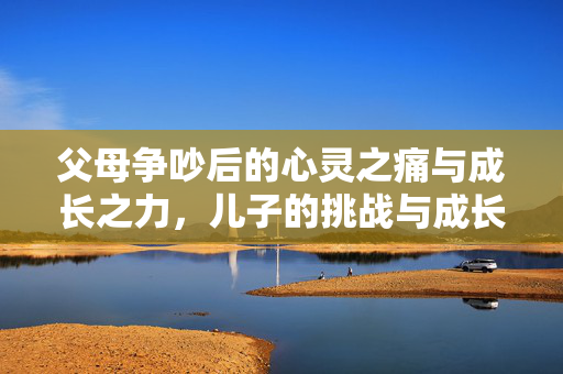 父母争吵后的心灵之痛与成长之力，儿子的挑战与成长