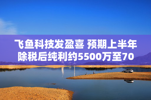 飞鱼科技发盈喜 预期上半年除税后纯利约5500万至7000万元同比扭亏为盈
