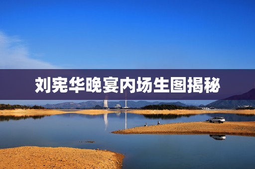 刘宪华晚宴内场生图揭秘