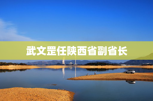 武文罡任陕西省副省长