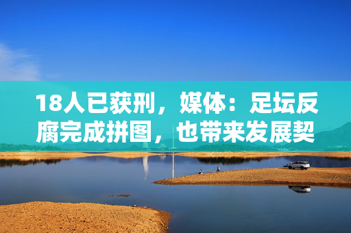18人已获刑，媒体：足坛反腐完成拼图，也带来发展契机