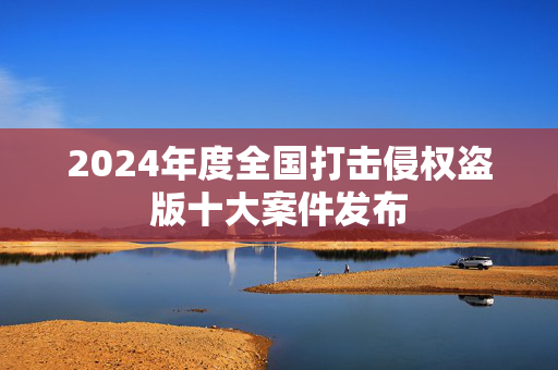 2024年度全国打击侵权盗版十大案件发布