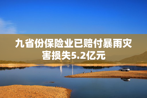 九省份保险业已赔付暴雨灾害损失5.2亿元