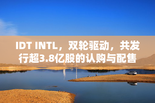 IDT INTL，双轮驱动，共发行超3.8亿股的认购与配售策略