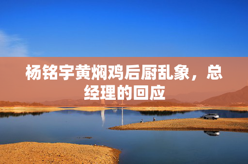 杨铭宇黄焖鸡后厨乱象，总经理的回应