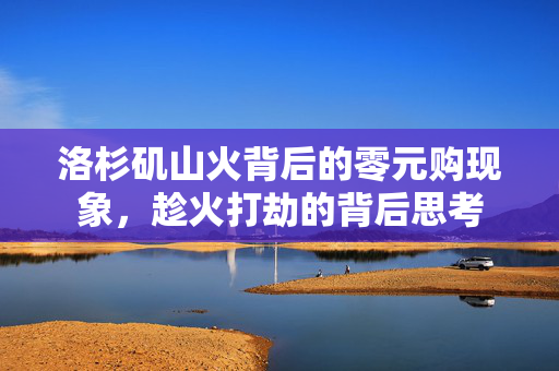 洛杉矶山火背后的零元购现象，趁火打劫的背后思考
